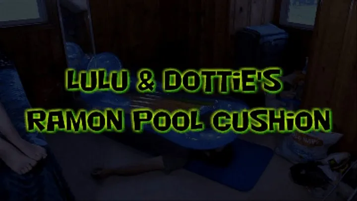 Lulu & Dottie's Ramon Pool Cushion!