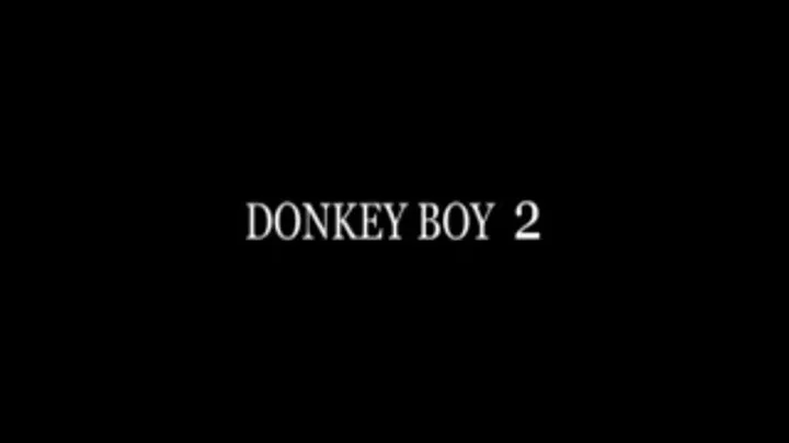 v4 - Donkey Boy 2 - Clip01