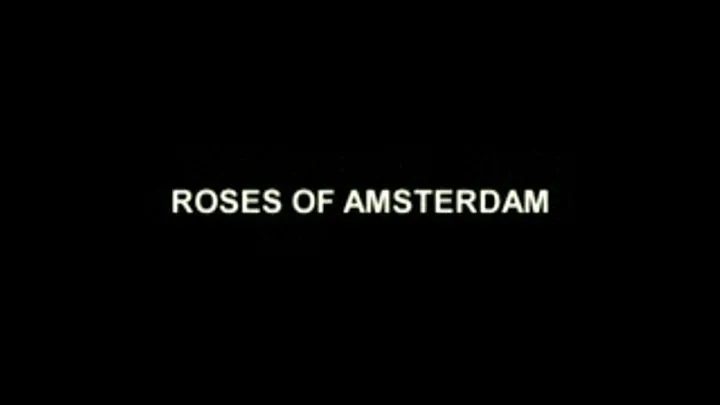 v6 - Roses of Amsterdam - Clip01