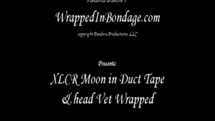 XLCR Moon Duct Taped & head Vet Wrapped