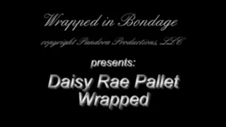 Daisy Rae Pallet Wrapped!