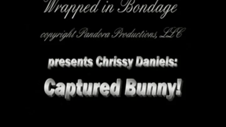 Chrissy Daniels Bunny!