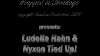 Ludella Hahn & Nyxon Tied Up! for