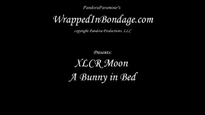 XLCR Moon Bunny in Bed