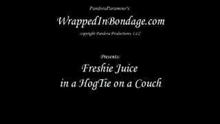 Freshie Juice in a HogTie on a Couch