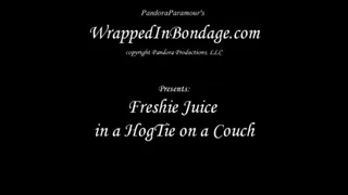 Freshie Juice in a HogTie on a Couch