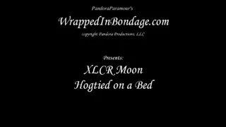 XLCR Moon Hogtied on a Bed
