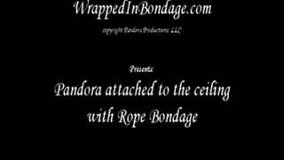 Pandora attached to ceiling in Rope Bondage ipod