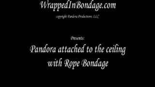 Pandora attached to ceiling in Rope Bondage