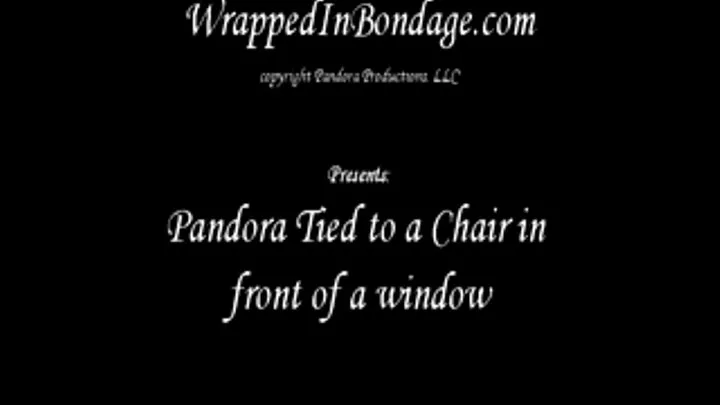 Pandora tied to a chair in front of a window