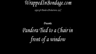 Pandora tied to a chair in front of a window
