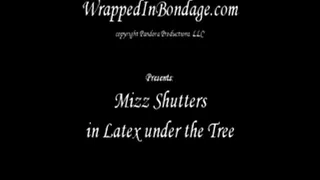 Mizz Shutters in Latex under the Tree ipod