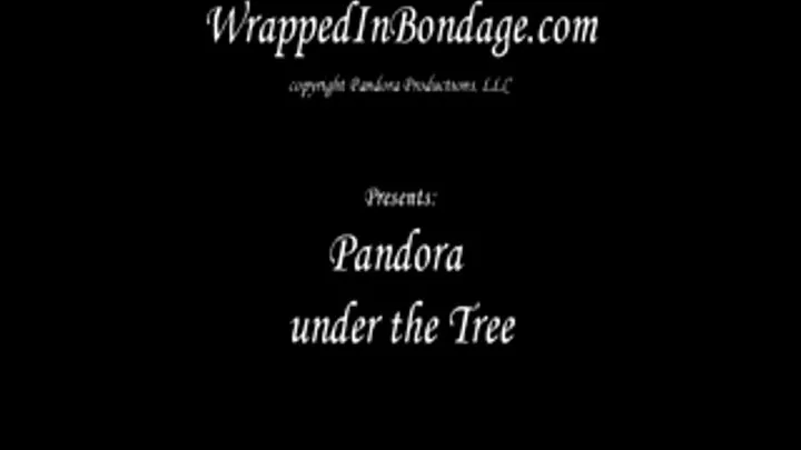 Pandora under the tree ipod