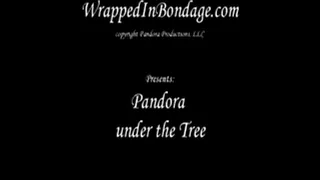 Pandora under the tree ipod