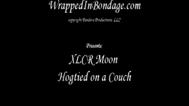 XLCR Moon hogtied on a couch