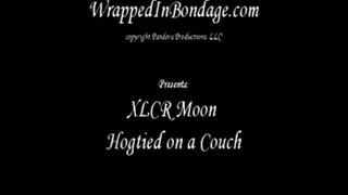 XLCR Moon hogtied on a couch