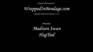 Madison Swan Hogtied