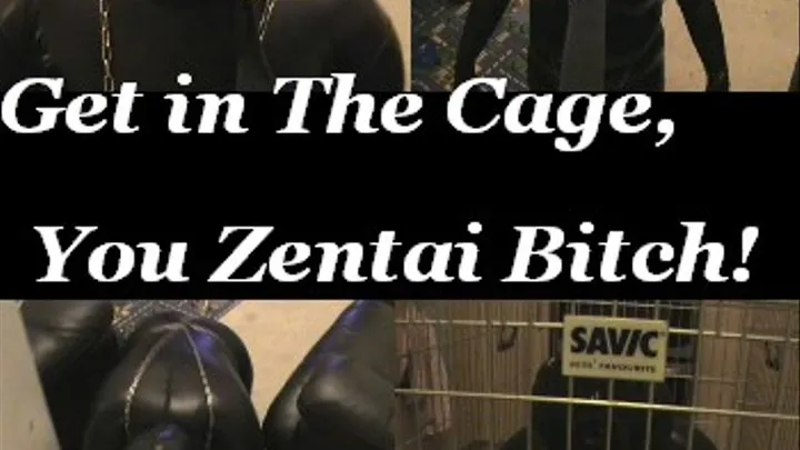 Get in The Cage You Zentai Bitch