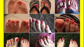 The adventures of cute pink painted toes....