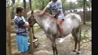 Riding Lessons 1