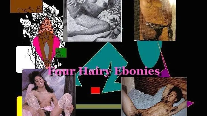 Four Hairy Ebonies (slide show computer)