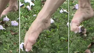 Flower petals between you toes