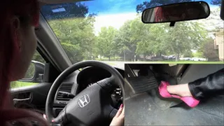 Lily Goes for a Drive