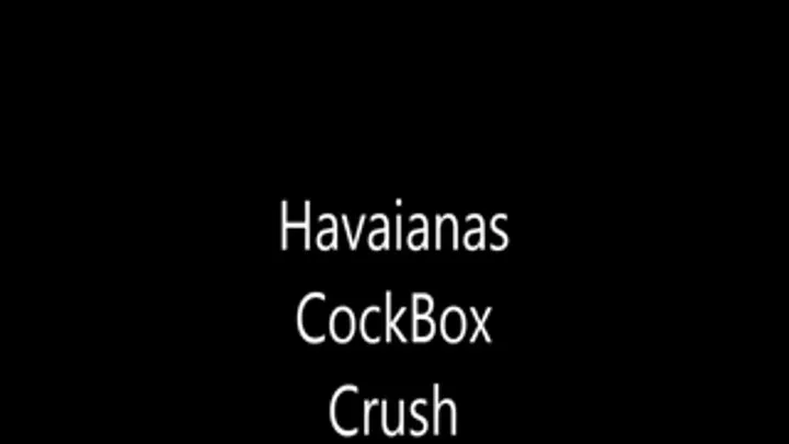 Havaiana Cock Box Crush