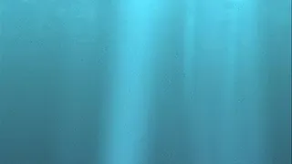 Underwater Foot Job