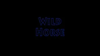 Mistress Miranda & Nikki Whiplash in Wild Horse