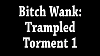 Bitch Wank: Trampled Torment part 1 Of 2