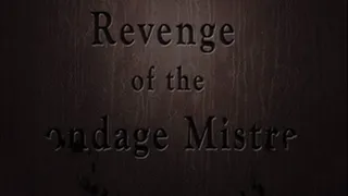 Revenge Of The Bondage Mistress