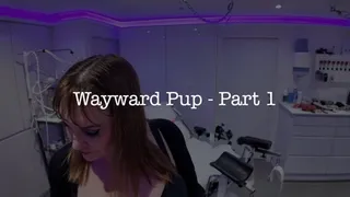 Wayward Pup 1