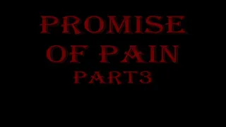 The Promise of Pain Part 3