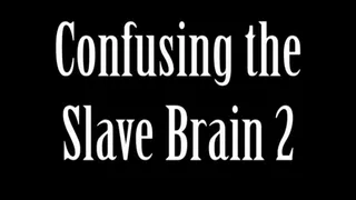 Confusing The Slave Brain Part