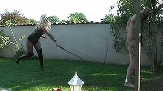 Evil Bullwhips (Full Video)