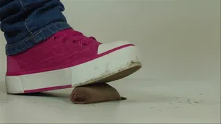 Lisas Sneakers against the little Tail 1
