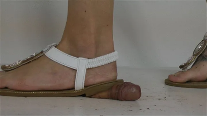 Cockcrush with flat Sandals 2