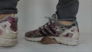 Jettes extreme Cockcrush with Adidas Shoes 1