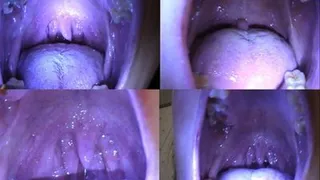 Stacey's Pov Mouth Tour