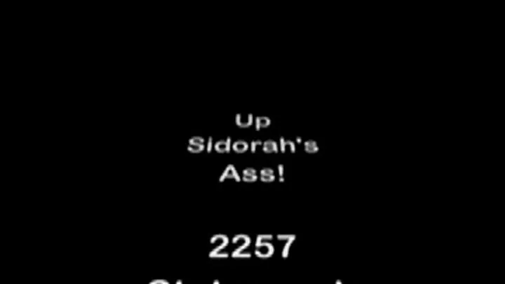 Up Sidorah's Ass! MKV