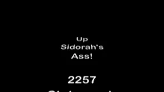 Up Sidorah's Ass! MKV