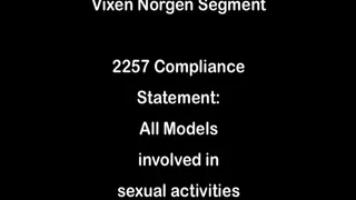 Vixen Norgen Smoking Interview