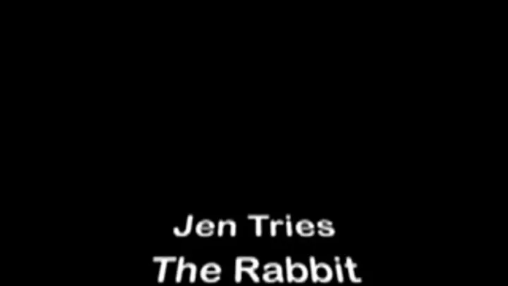 Jen And The Rabbit