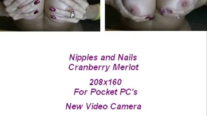 Nipples and Nails Cranberry Merlot Masturbation Instruction.....for POCKET PC'S