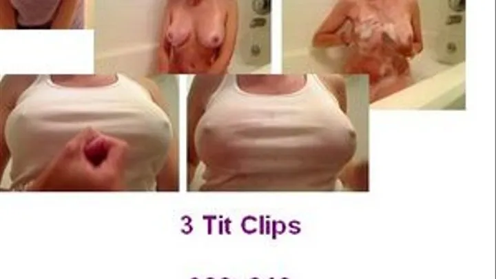 3 Tit Clips 090709 ............... dial up