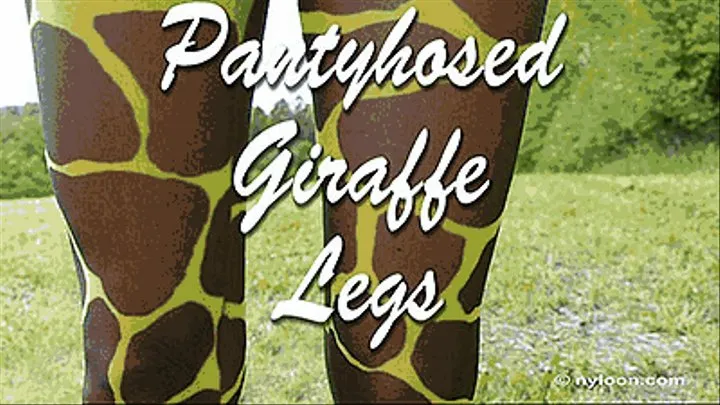 PANTYHOSED GIRAFFE LEGS - Low Def.