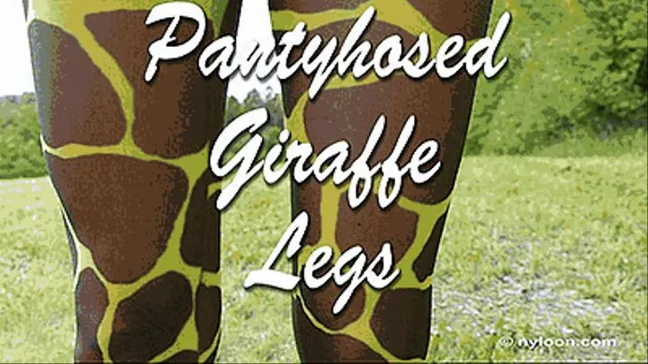 PANTYHOSED GIRAFFE LEGS