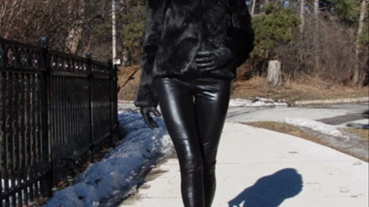 Leather Fur and High Heels