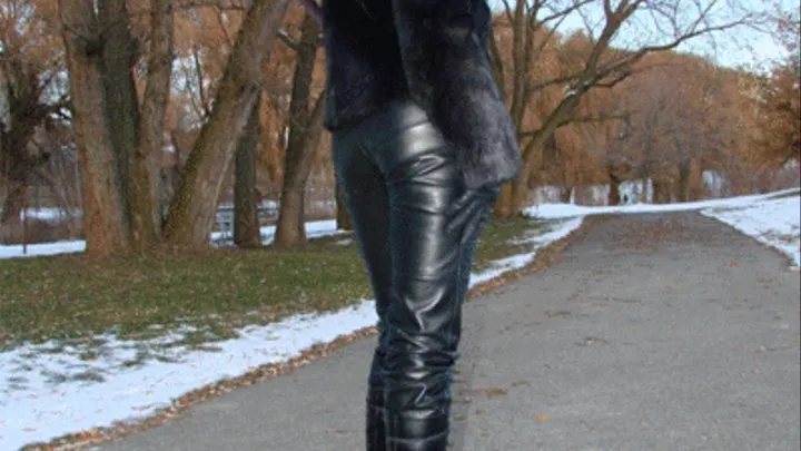 Leather Fur and Boots